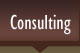 Consulting